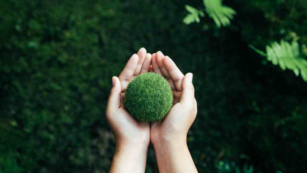 langkah langkah menghitung jejak karbon